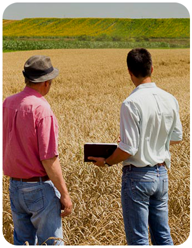 Consultores Agrícolas