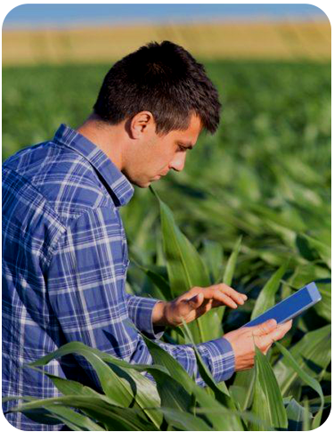 Engenheiros Agronômicos